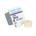 Protemp Crown Upper Molar Large Refill 3M 