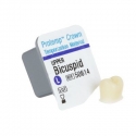 Protemp Crown Upper Bicuspid (pre-molar) Large Refill 3M