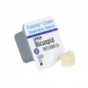 Protemp Crown Upper Bicuspid (pre-molar) Small Refill 3M