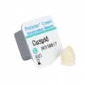 Protemp Crown Upper Cuspid (canin) Large Refill 3M