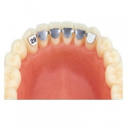 Retainer inferior de la canin la canin kit asortat 10 bucati Leone