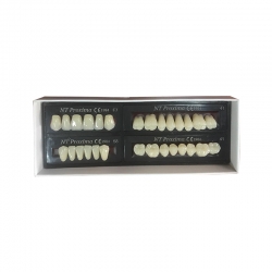 Acrylic teethAC3-JAW D2 Ceraman