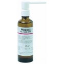 Picosilk Spray For Wax Models Renfert